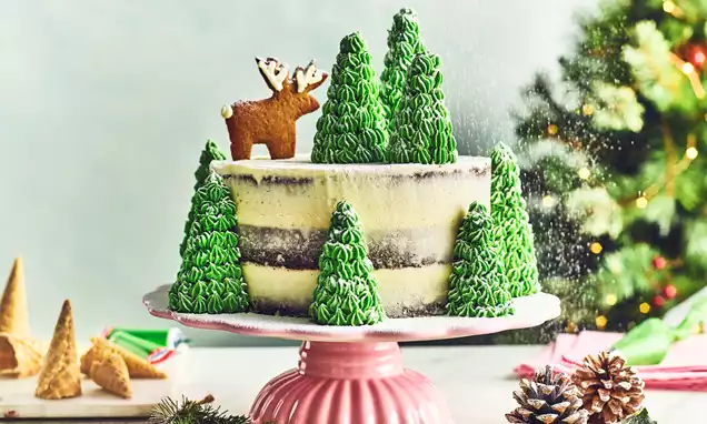 6″ Square Traditional Christmas Cake | lukeevans.co.uk